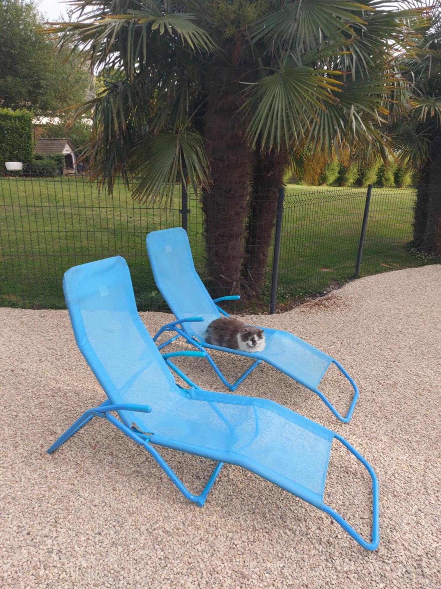 Le paradis bleu Bosville Extérieur photo